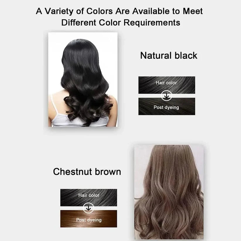 Hair Dye Shampoo – Pack of 2